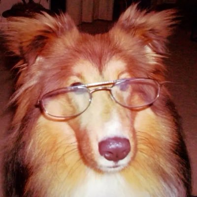 1kmayhem's profile picture. hamburger and fries