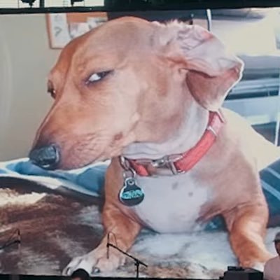 noremedy2's profile picture. 