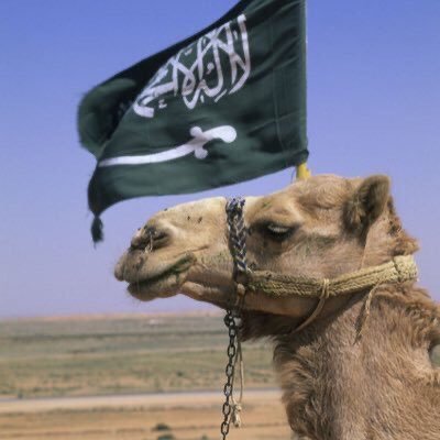 93Q93's profile picture. So Far away