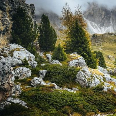 QwertyI221930's profile picture. 