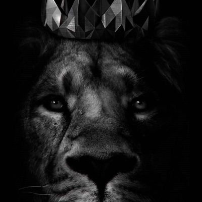 timothy_ro15141's profile picture. I'm a secret and interesting i like to keep things secretive overall I'm a nice guy but doesn't talk much since I'm always busy with family yk.