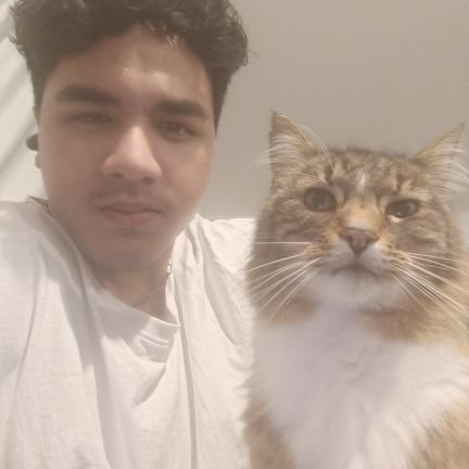 TCxrroll's profile picture. 