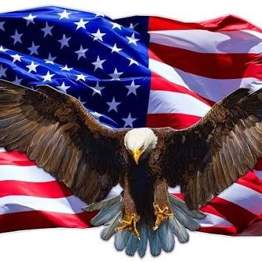 Freedomnewlh1m's profile picture. Breaking the fake narrative