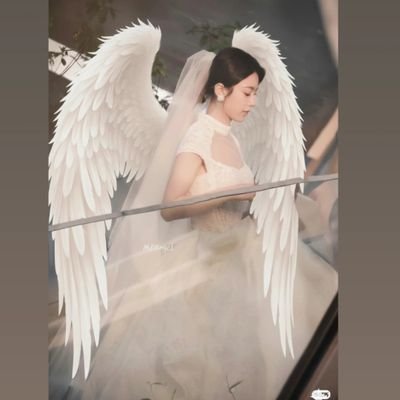 wanwaan2495's profile picture. #จ้าวจินม่าย #赵今麦  #ZhaoJinmai 🌾