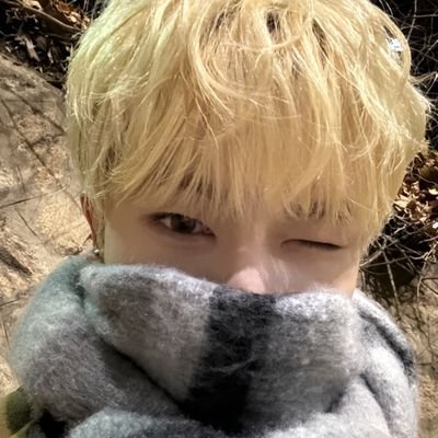 addwangxian's profile picture. 
