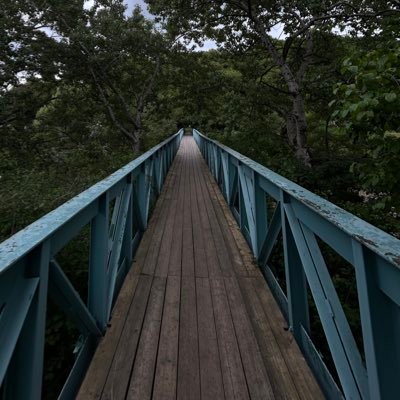 gaevali's profile picture. 