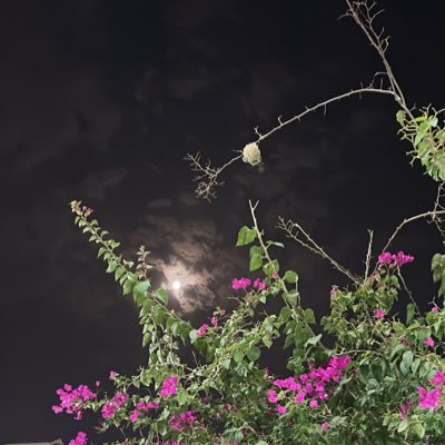 Ghassan🧑🏻‍🎓26