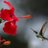 BordeauxZa85085's profile image