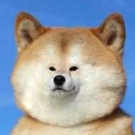 Koltrognarek's profile picture. Trading learner