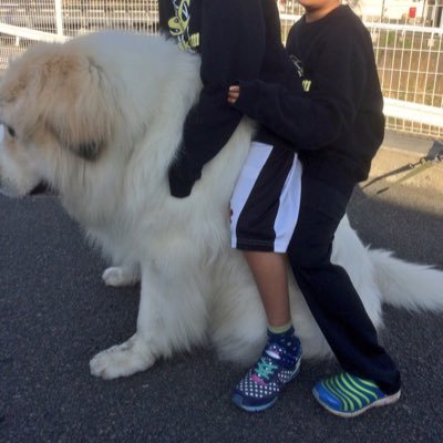 siizaaGpSSS's profile picture. 私は法華経の天敵🇹🇩🍚🌾さん達は私をブロ🥦しない方が良いと日蓮大聖人は仰ですよ  『法華経の敵を見ながら置いてせめずんば師檀ともに無間地獄は疑ひなかるべし』日蓮  『謗法を責めずして成仏を願はば火の中に水を求め水の中に火を尋ねるが如くなるべし』日蓮