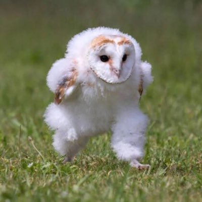 ktrh776's profile picture. 