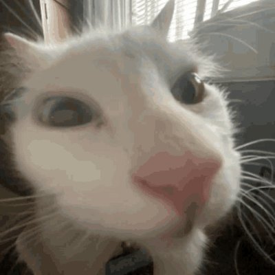 ZGalactical's profile picture. 