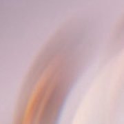 senbatu's profile picture. 僕のDNA→ Mr.Children KAN オードリー キン肉マン ツルモク独身寮 G戦場ヘブンズドア 高田馬場 板橋 上福岡 千代作 まるきゅう→桑ばら ぼたん 二代目けいすけ 福沢屋 SANKYU ななつぼし 酒場ワタナベ