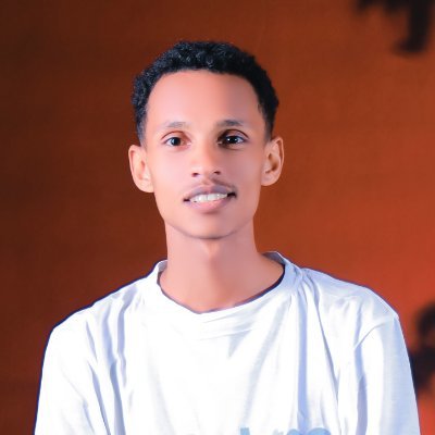 dameteferi's profile picture. Founder & CEO @ NileMax and IntelliPulse | Software Engineer crafting scalable products