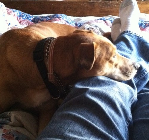 skipmeyer's profile picture. Red headed lover of Jesus, Israel and the USA. Marrried to Mary-Ann.
Pastor, Ballards Church of Christ.
Praise and Worship Leader where needed. For now.