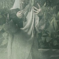 Raneem (@ladivanimi) 's Twitter Profile