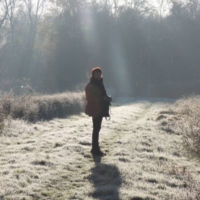 jgharinga's profile picture. ik ben een mens met 2 grote passies: schilderen en natuurfoto's maken: https://t.co/XCpDoOQIBb