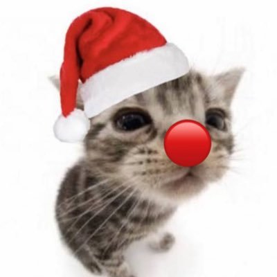 emalynsolaria's profile picture. 27 | Germany | DMs open :)