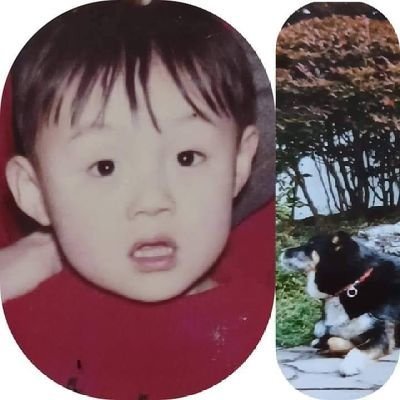 sweetmetal_1981's profile picture. 専門店、コンビニ🍰/ベビメタ、さくら学院/洋楽/音楽全般/🎹よみいさん.ハラミちゃん/エレクトーン826askaさん、リっちゃん/🎻吉村妃鞠/犬（以前飼）/観光地、景色、街中📷️/新しいもの好き/情報番組のツイート　スマホ壊れて以前のXパスワードも分からず今までフォローして頂いた方フォローし直します。宜しく🙇