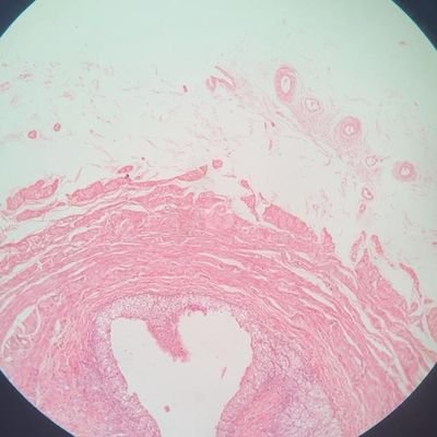 aqnlngksepre's profile picture. 