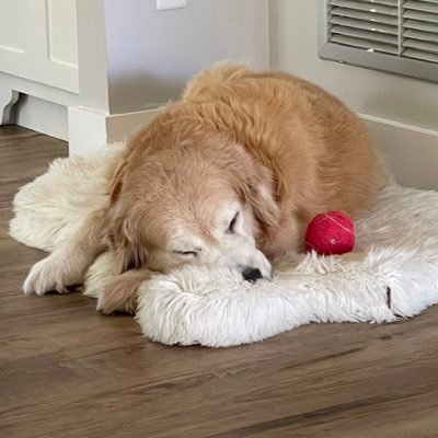 slocumvamonos's profile picture. The last of the Baby Boomer’s - forced to take the Pfizer jab, leaving me with Stage III CHF - American loving Father - Husband 🇺🇸🇺🇸🇺🇸