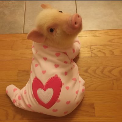 mtkx030's profile picture. 