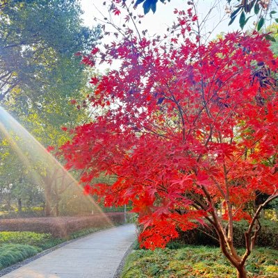 zhaojh_zjl9276's profile picture. 