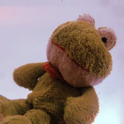 tortoey26's profile picture. 