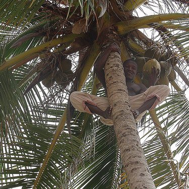 BaldricCal40064's profile picture. 