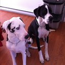 ben little - @mavandmo - Twitter