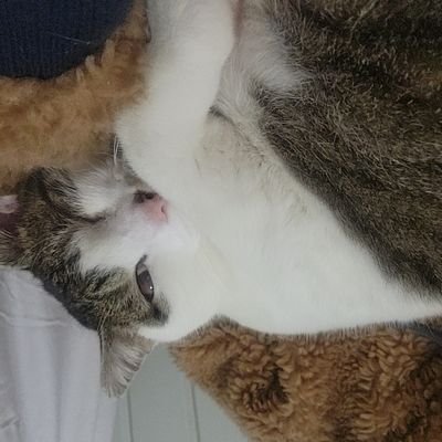 green_ivy_1's profile picture. just trying to make it ✌❤🥂🦄