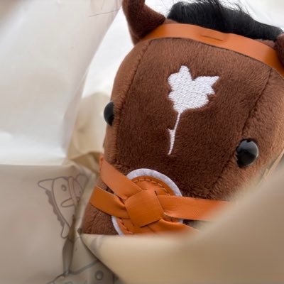 mrx8q2's profile picture. 競馬見る用