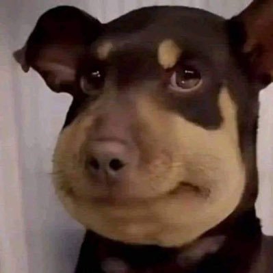 uraveragedev's profile picture. 