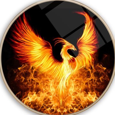 ANKA21amd's profile picture. 