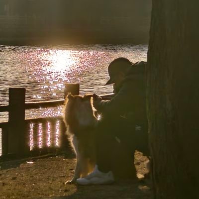 gg878pkjkp's profile picture. 总有一天，所有记忆离我而去