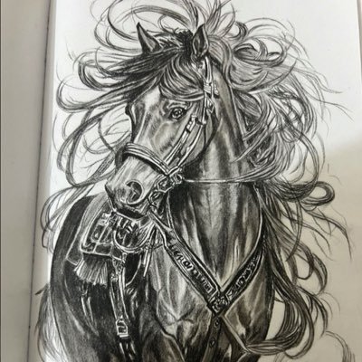 AvasinHelinhq's profile picture. 