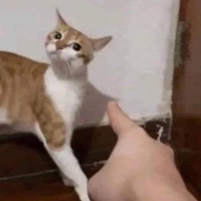 cloudsrapper's profile picture. 