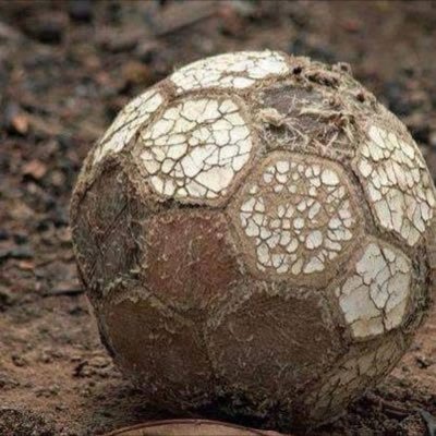 Menthilipton's profile picture. 