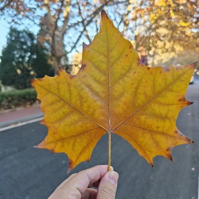 daodi579's profile picture. 