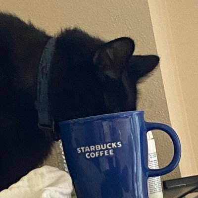 GreenGuavas's profile picture. 