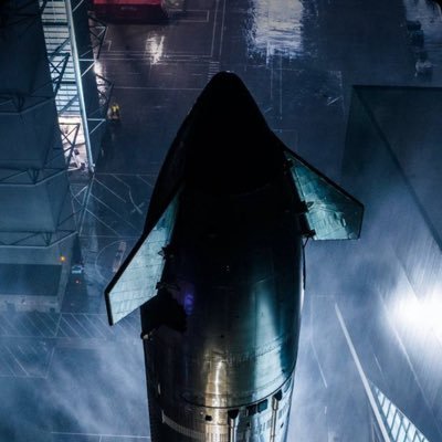 ElonX4d1's profile picture. Distinctive Elon