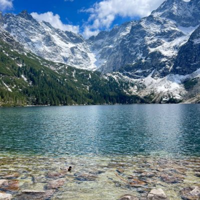 daisy025393196's profile picture. Chinese woman in LA since 2017. Love scuba diving, skiing, and golf. Investing in luxury real estate and tech for adventure and growth.