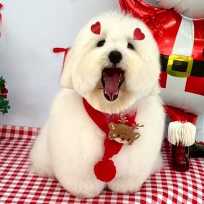 ImNattyHuang's profile picture. #9779s | เดบิ้วเป็นมัมหมีน้องลูกเย่ & พี่ก่อนสิบ
#supassra_sp ▶️ หนูดี(นูดี้)ของน้องพี่เก้า
#janeeyeh ▶️ เต้าหู้เย่ของยัยหมวยเร้ก