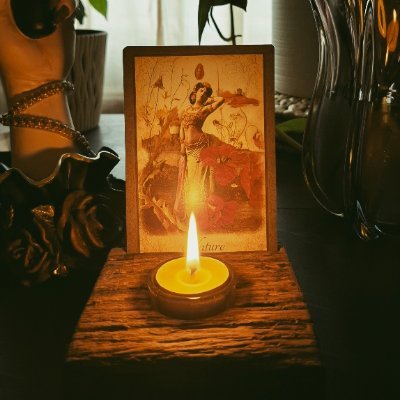 millywitch's profile picture. Owned by crows,magpies & squirrels mostly.