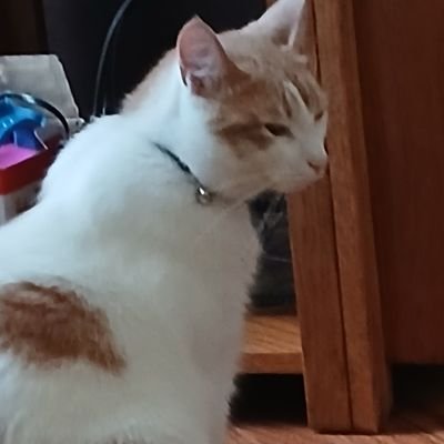 garretthessnfl's profile picture. NFL Insider