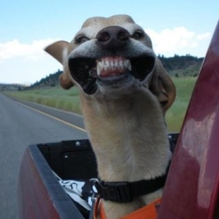 SReeuwijk's profile picture. b1b sint-janslyceum// jongens c2 MHC Rosmalen// PSV// 13 jaar.