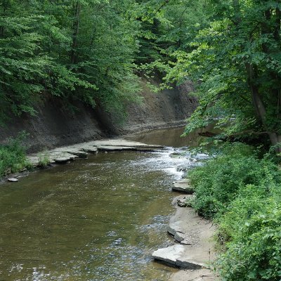 Jack58253528's profile picture. 