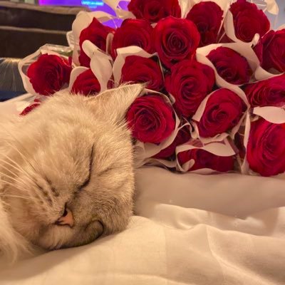 8_m711's profile picture. 