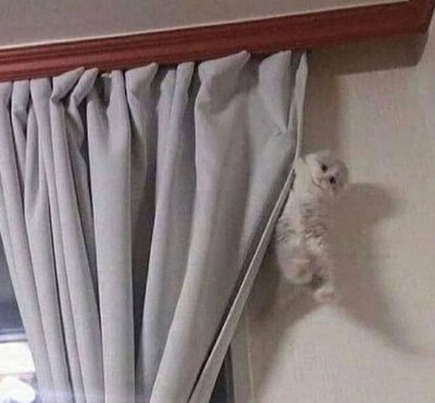 aShahd122's profile picture. 