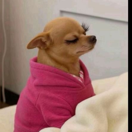 FisokuhleS8342's profile picture. 🫧